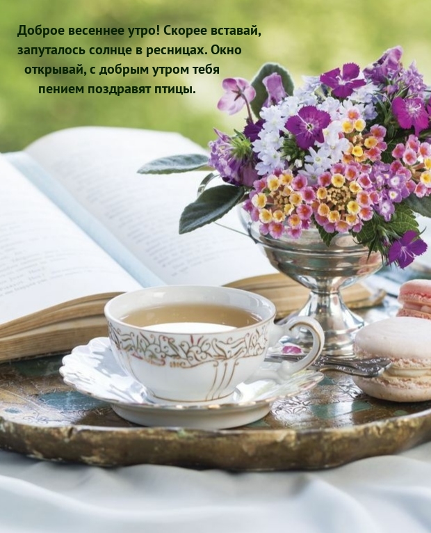 Доброе весеннее утро! Скорее вставай, запуталось солнце в ресницах.