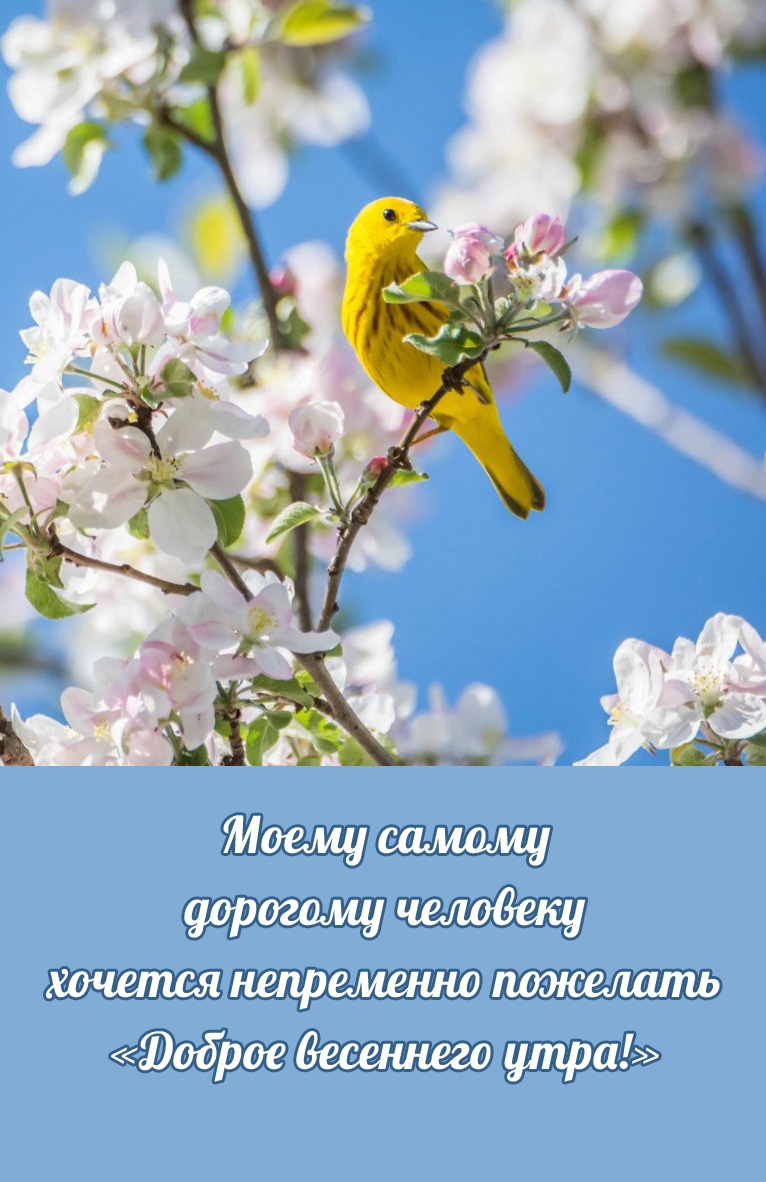 «Доброе весеннего утра!» Моему самому дорогому человеку
