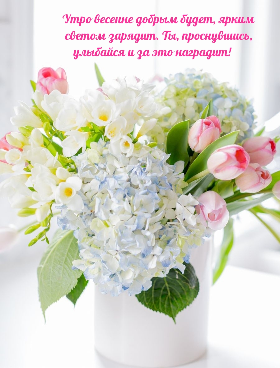 Утро весенне добрым будет, ярким светом зарядит. 