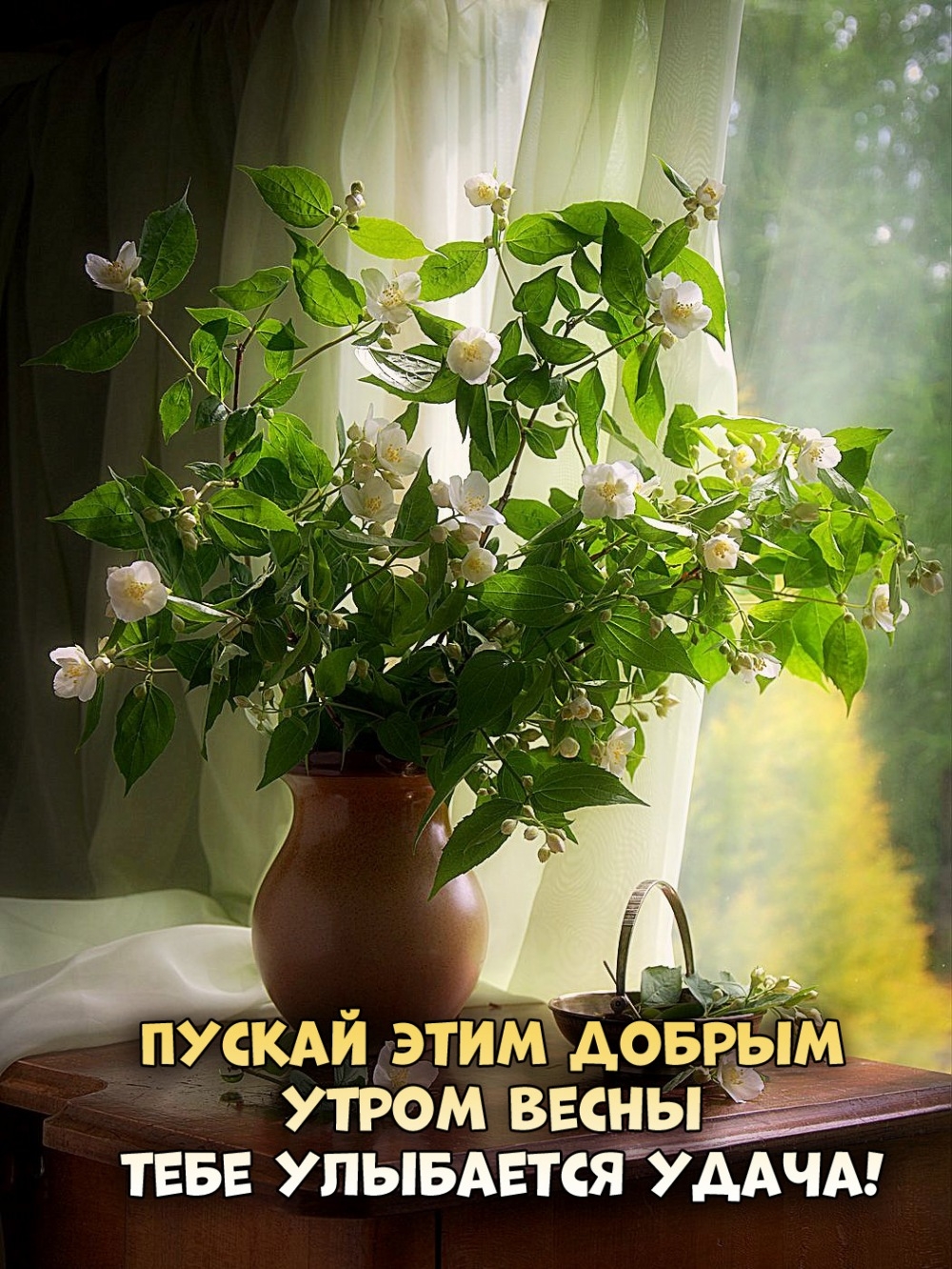 Пускай этим добрым утром весны тебе улыбается удача!