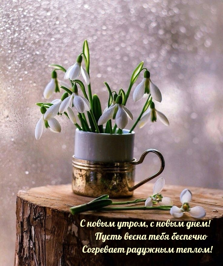 Пусть весна тебя беспечно согревает радужным теплом!