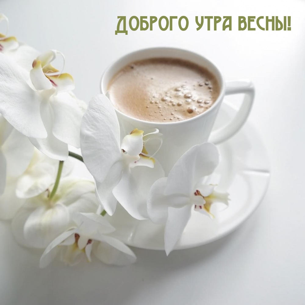 Доброго утра весны!
