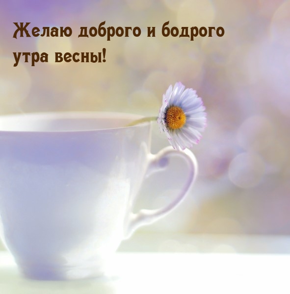 Желаю доброго и бодрого утра весны!