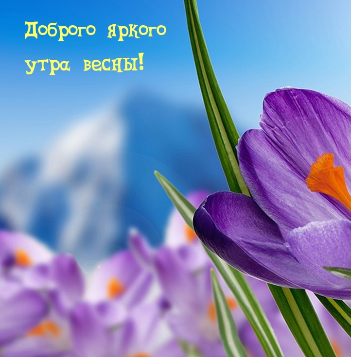 Доброго яркого утра весны!
