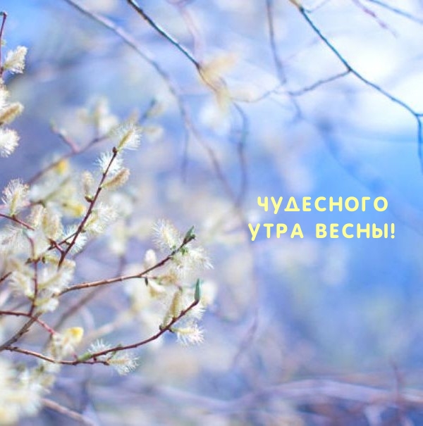 Чудесного утра весны!