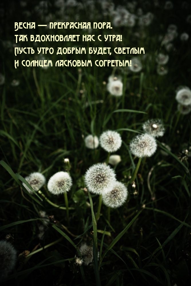 Весна — прекрасная пора. Так вдохновляет нас с утра!
