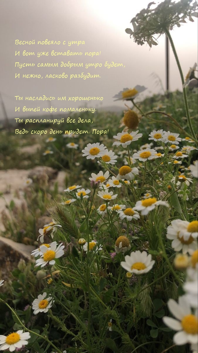 Весной повеяло с утра и вот уже вставать пора!