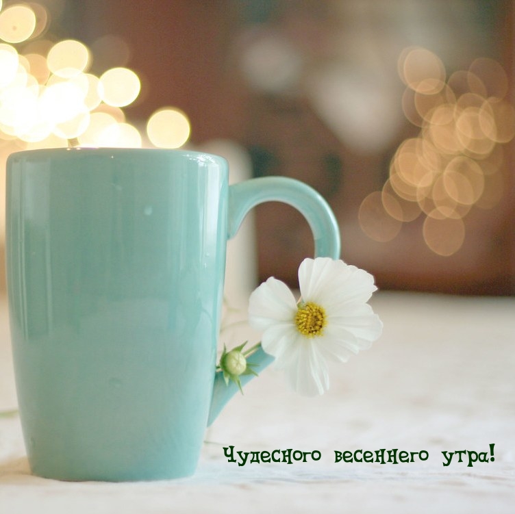 Чудесного весеннего утра!