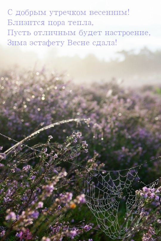 С добрым утречком весенним! Близится пора тепла