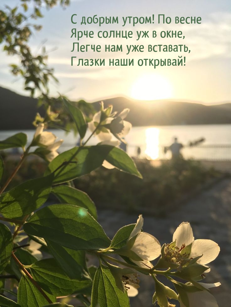С добрым утром! По весне ярче солнце уж в окне