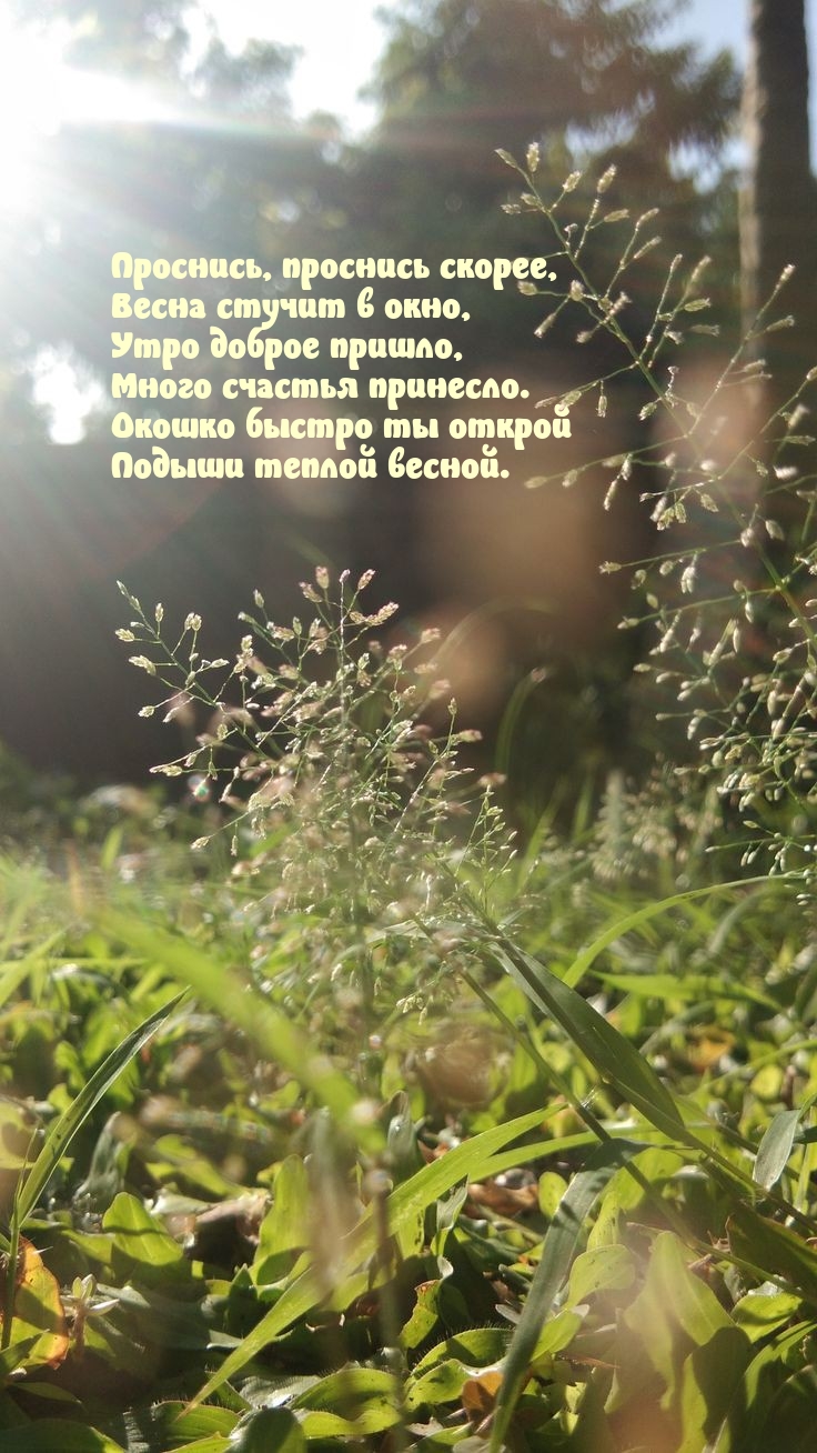 Проснись, проснись скорее, весна стучит в окно