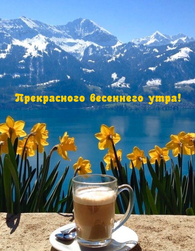 Прекрасного весеннего утра!