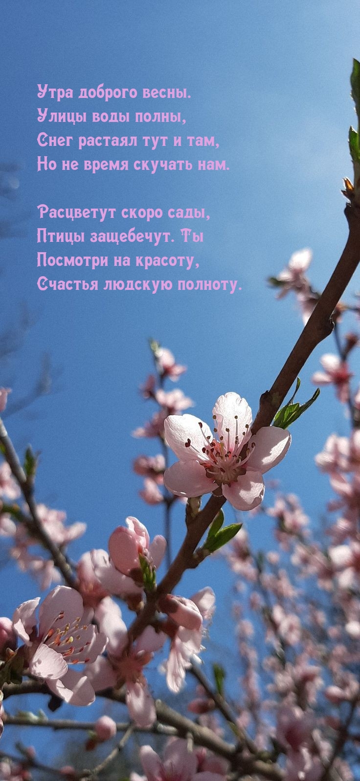 Утра доброго весны. Улицы воды полны