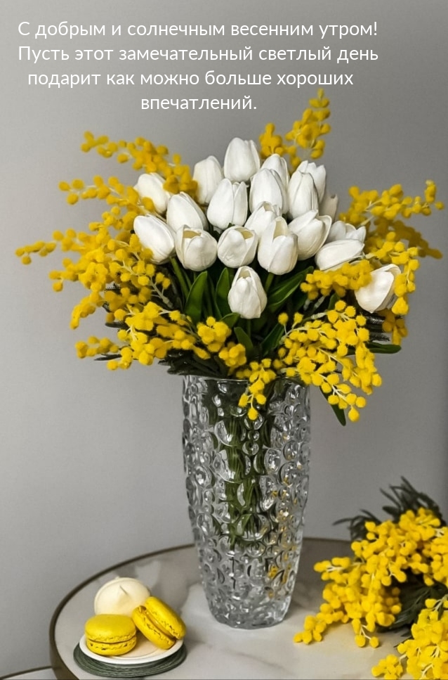 С добрым и солнечным весенним утром!