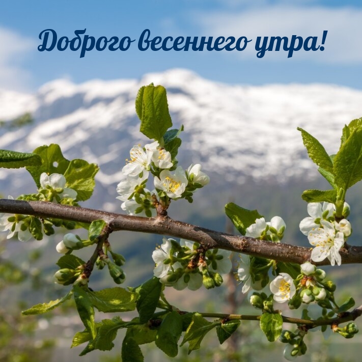 Доброго весеннего утра!