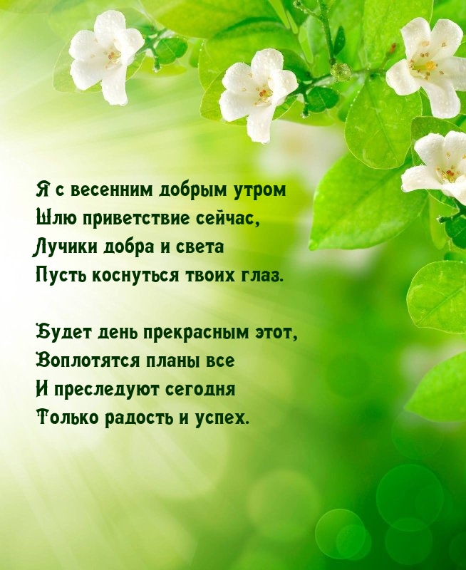 Я с весенним добрым утром шлю приветствие сейчас