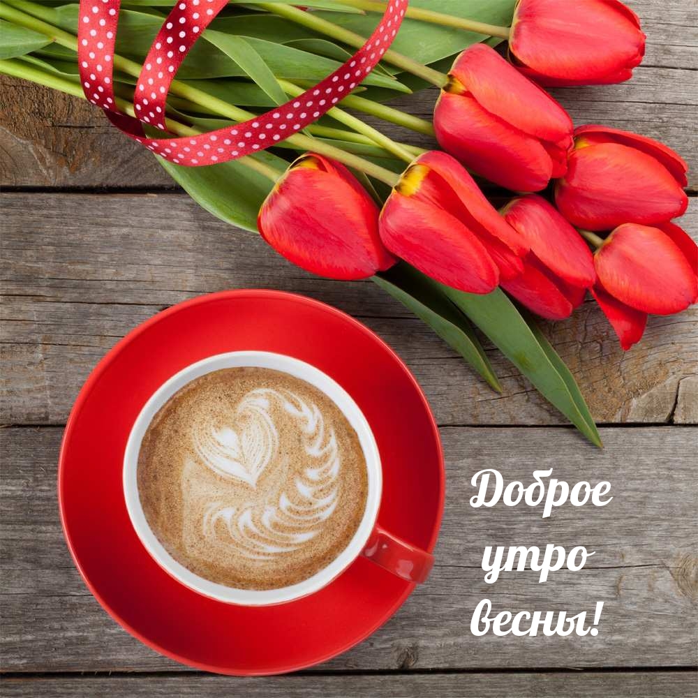 Доброе утро весны!