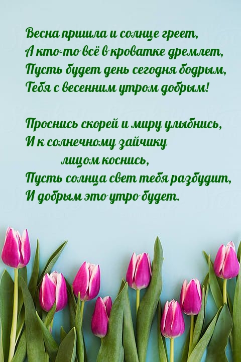 Весна пришла и солнце греет, А кто-то всё в кроватке дремлет