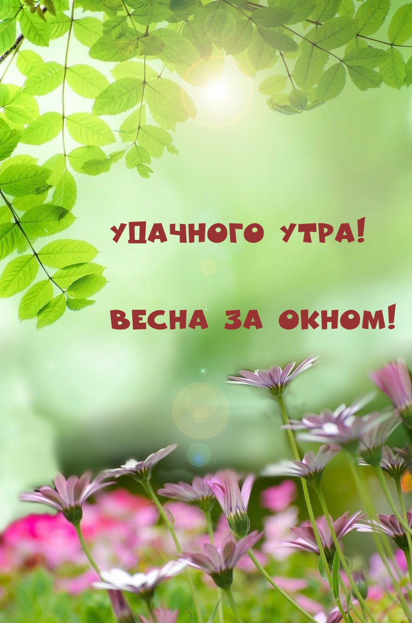 Удачного утра! Весна за окном!