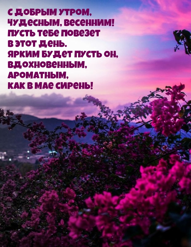 С добрым утром, чудесным, весенним!