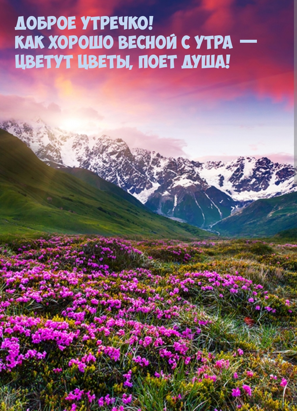 Как хорошо весной с утра — цветут цветы, поет душа!