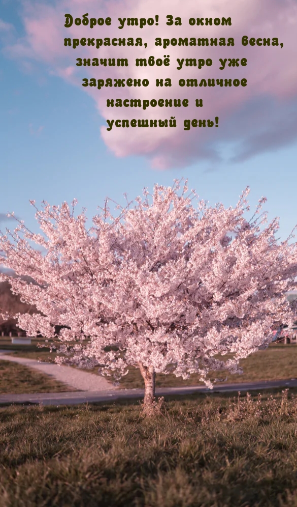 Доброе утро! За окном — прекрасная, ароматная весна
