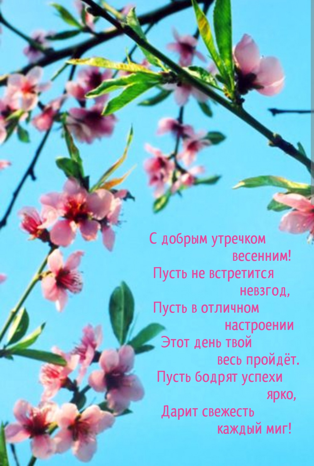 С добрым утречком весенним! Пусть не встретится невзгод