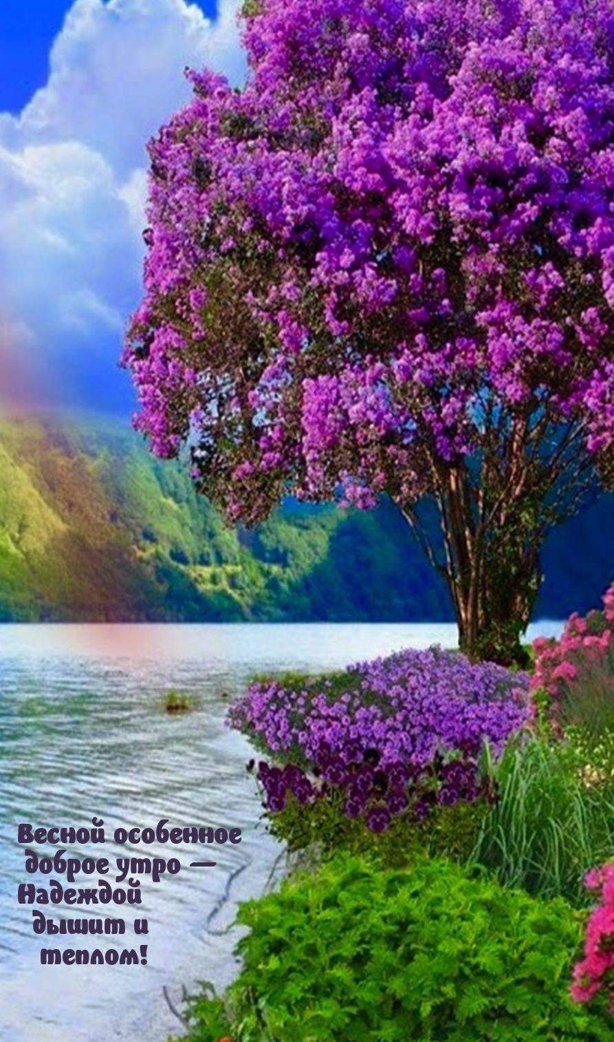 Весной особенное доброе утро — Надеждой дышит и теплом!
