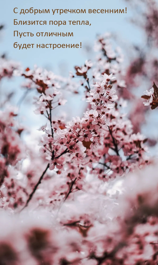 С добрым утречком весенним! Близится пора тепла