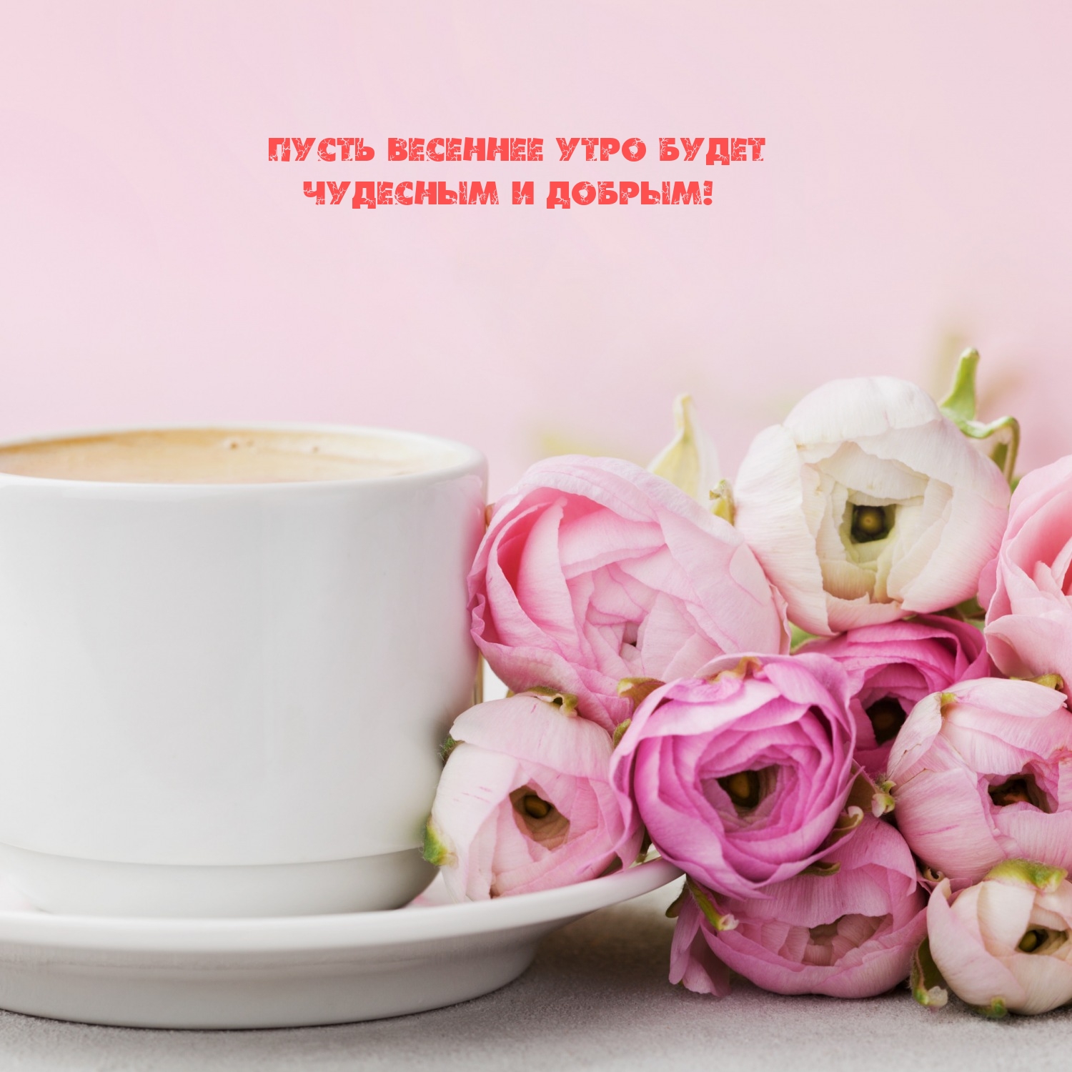 Пусть весеннее утро будет чудесным и добрым!