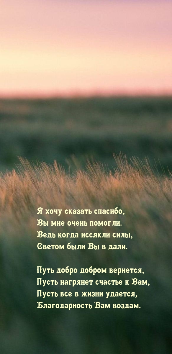 Я хочу сказать спасибо, Вы мне очень помогли.