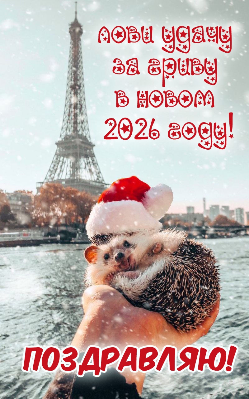 Лови удачу за гриву в Новом 2026 году! 