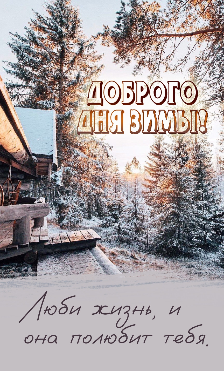Люби жизнь, и она полюбит тебя.