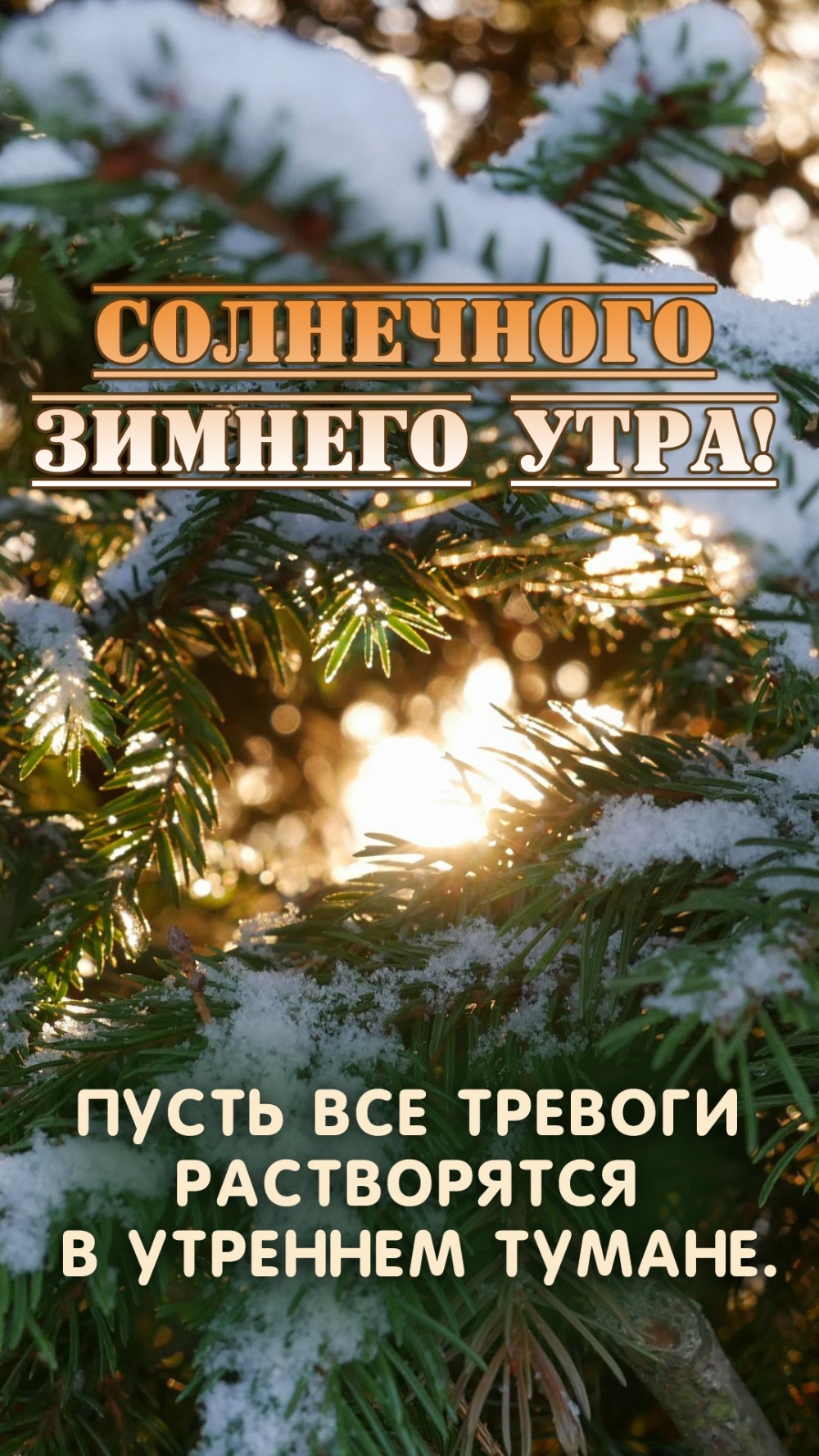 Пусть все тревоги растворятся в утреннем тумане.